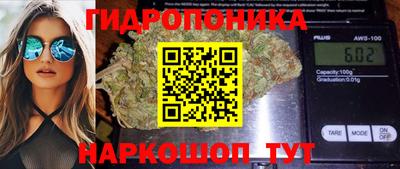 мяу мяу мука Нягань