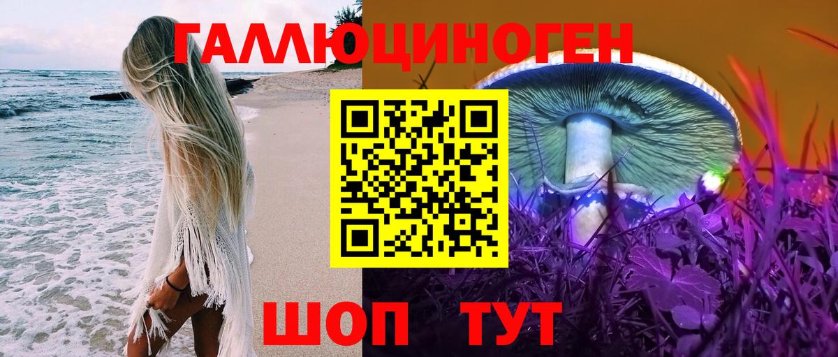 Галлюциногенные грибы Psilocybe Таганрог