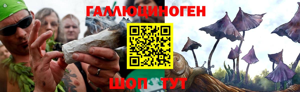 Таганрог  где найти   Вход с VPN  Псилоцибиновые грибы MAGIC MUSHROOMS 